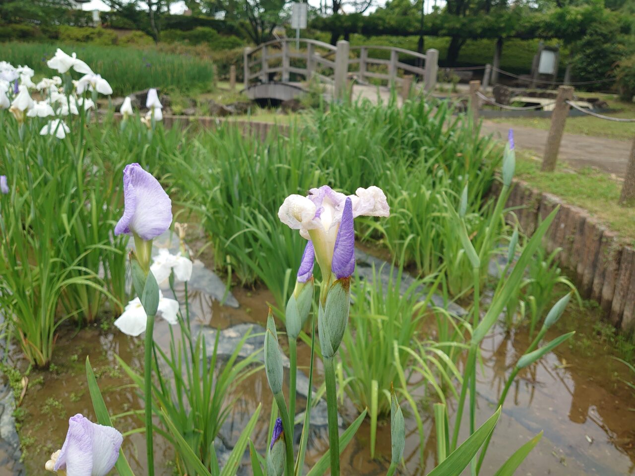 四季の里公園