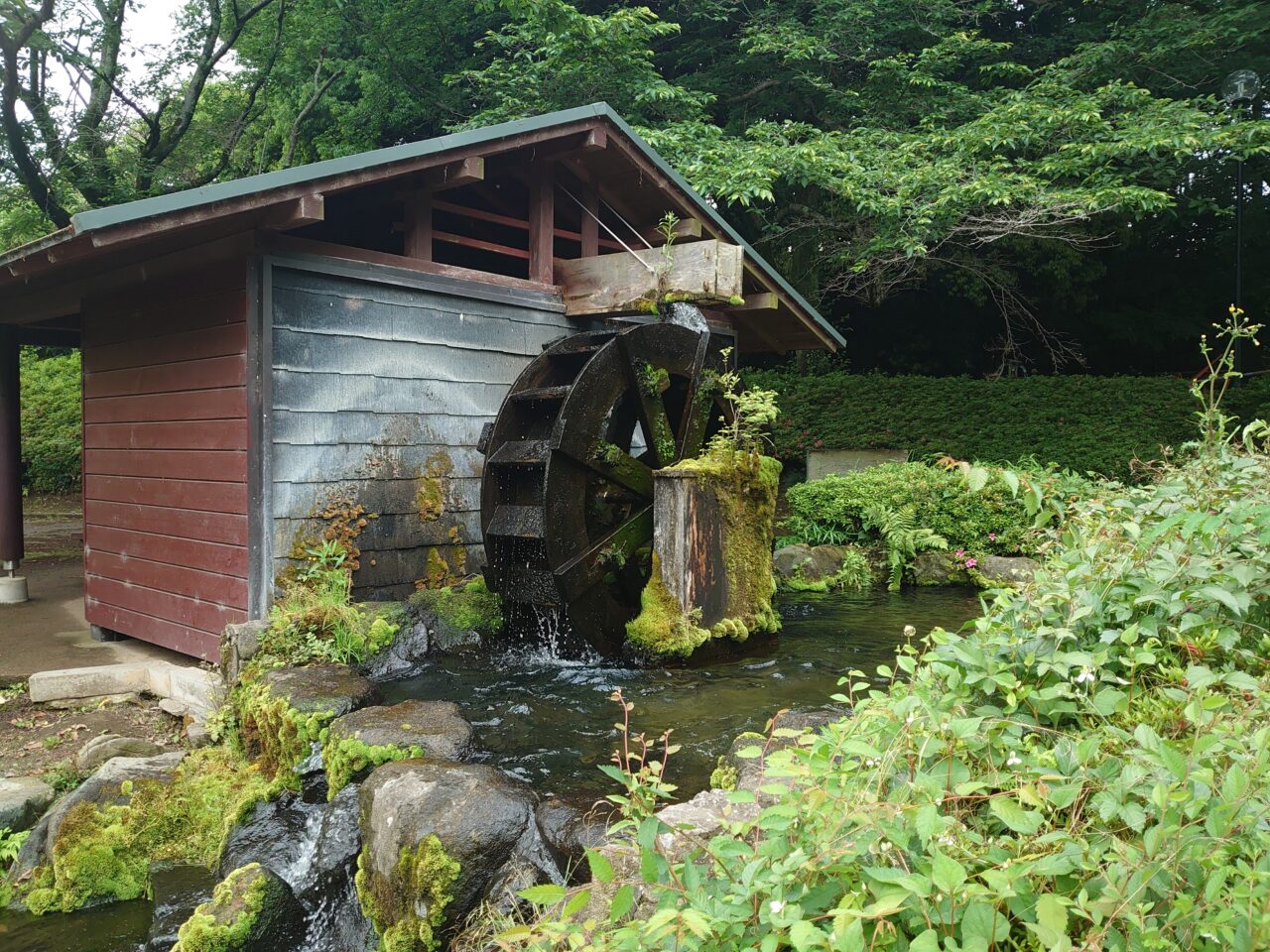 四季の里公園