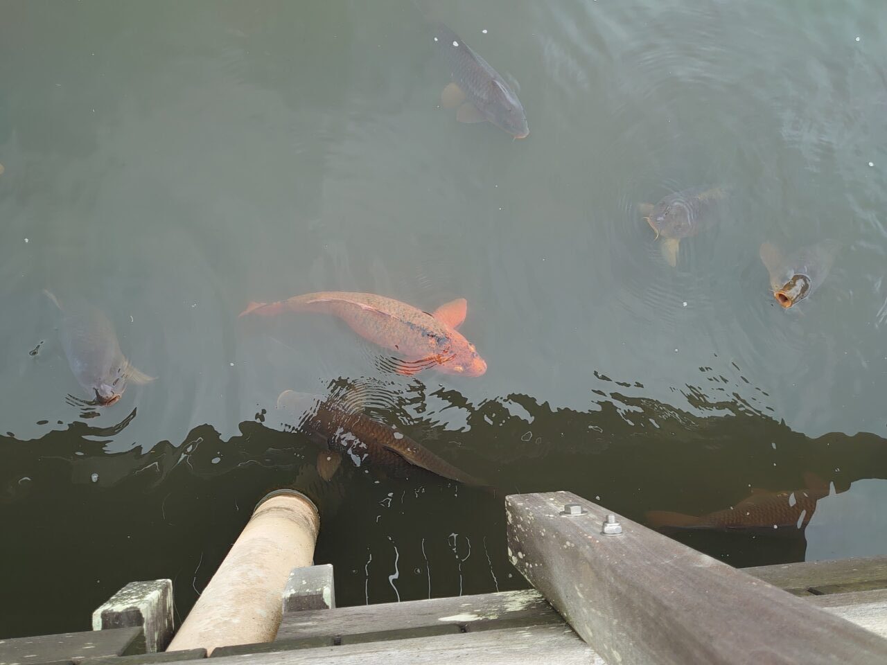 四季の里公園
