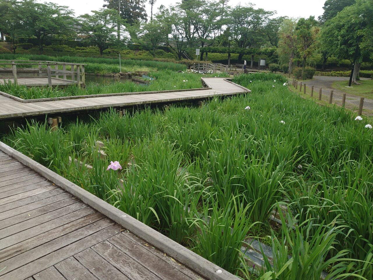 四季の里公園