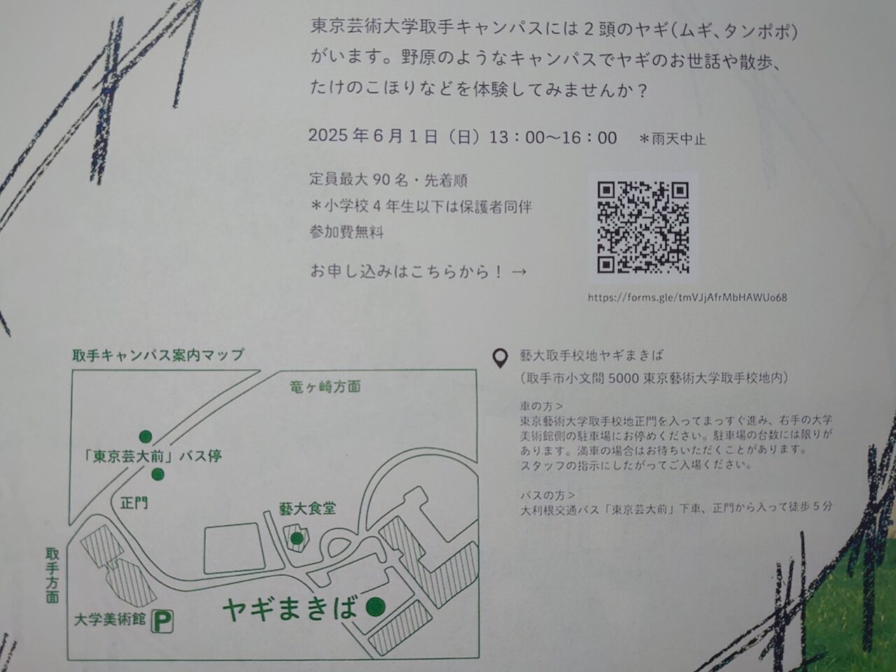 ヤギの目