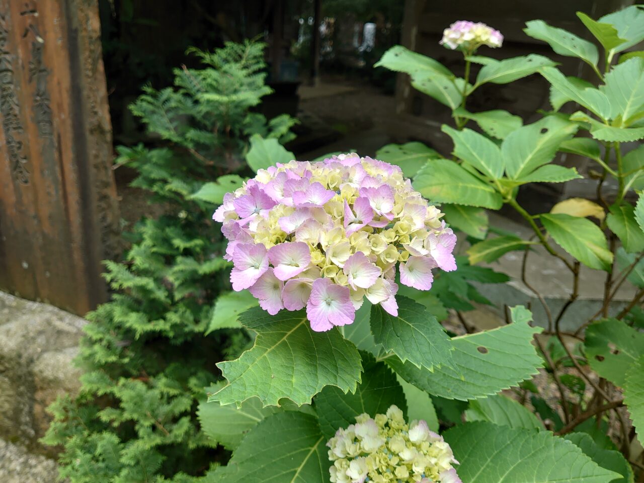 長禅寺