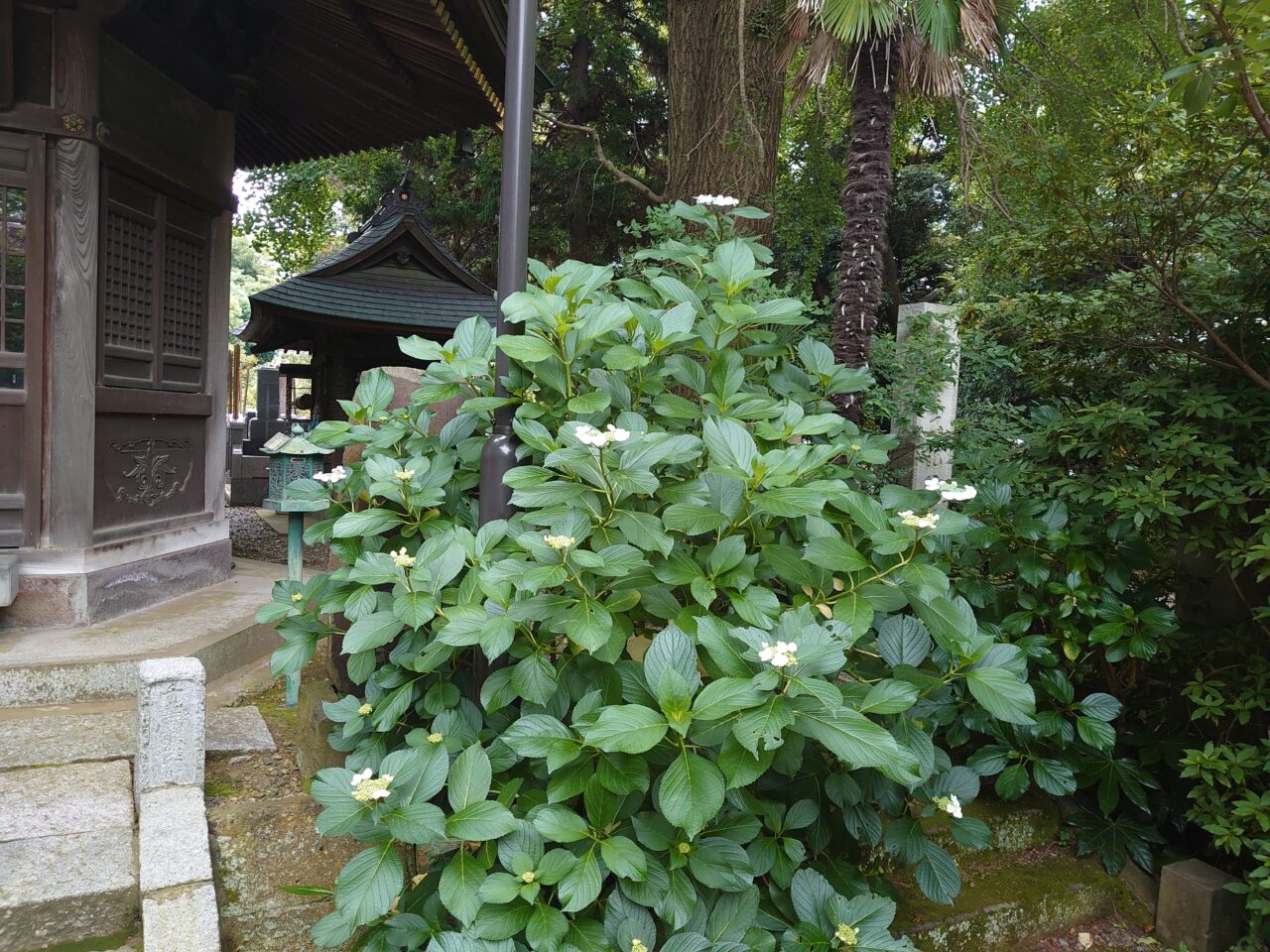 長禅寺