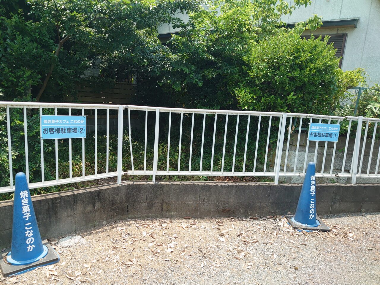 こなのか