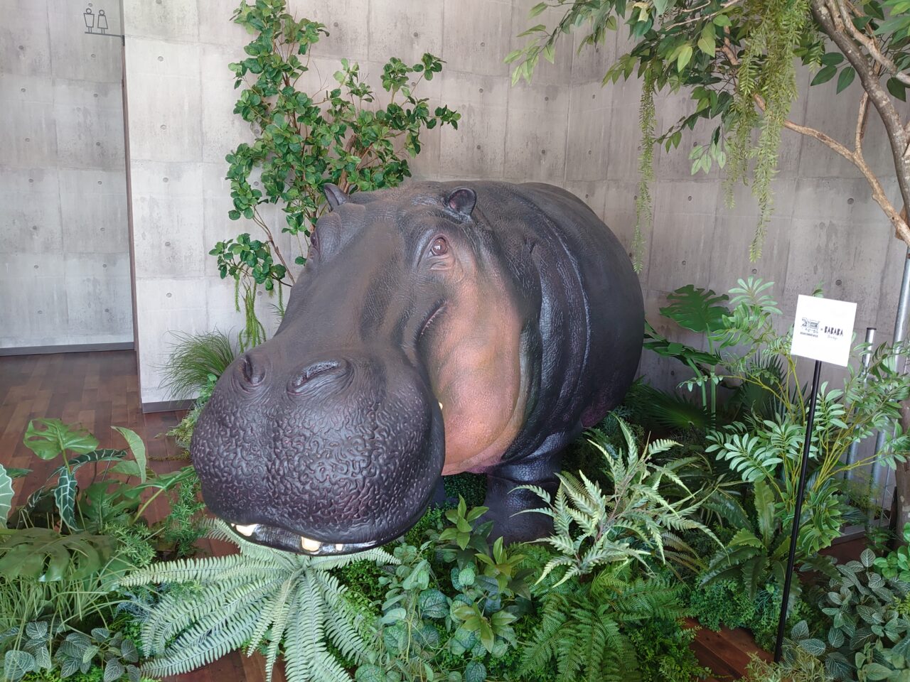 あさひ参道ウィッチ