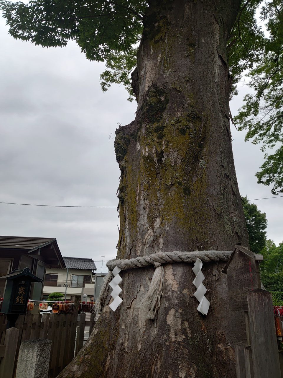 八坂神社守谷