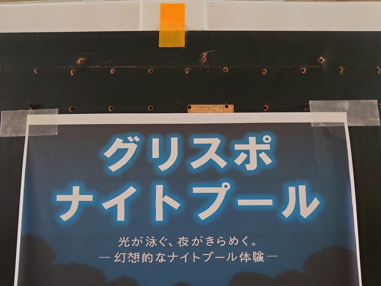 ナイトプール