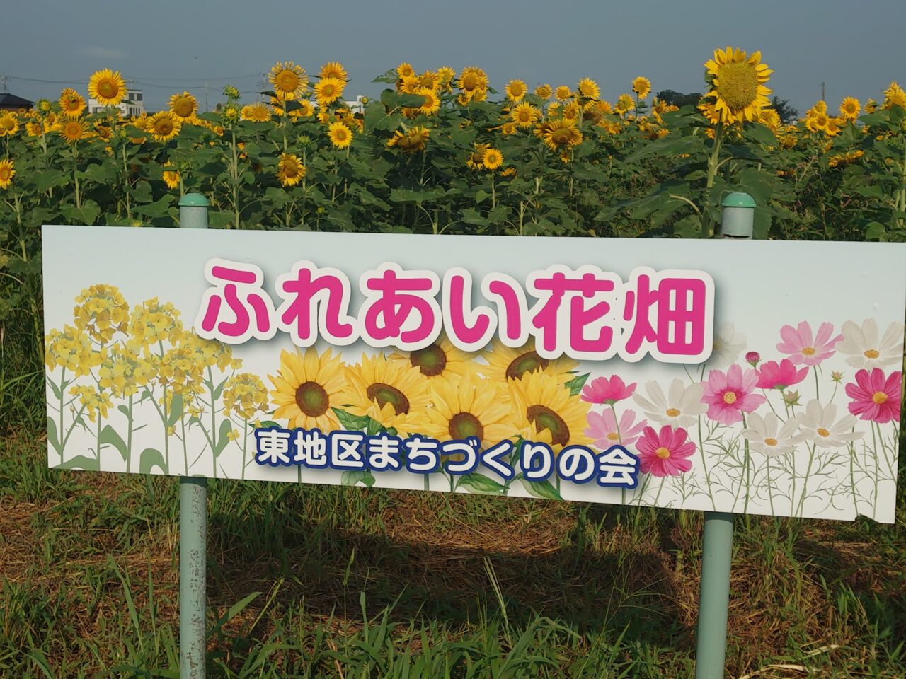 ふれあい花畑