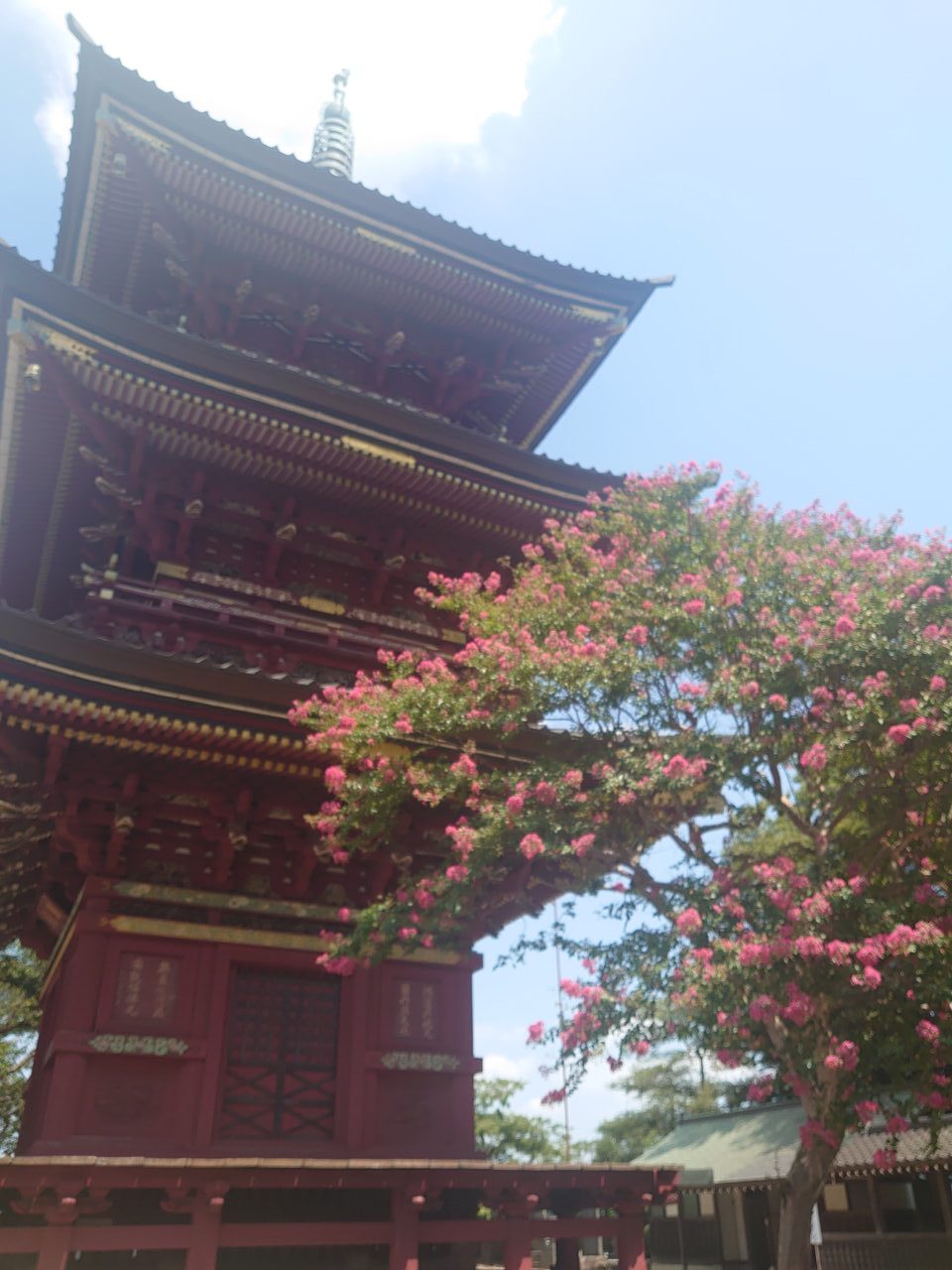 板橋不動尊