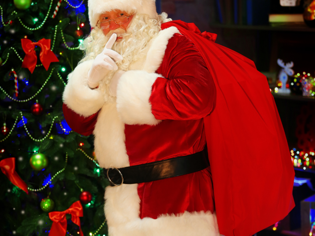 ボランティアサンタ