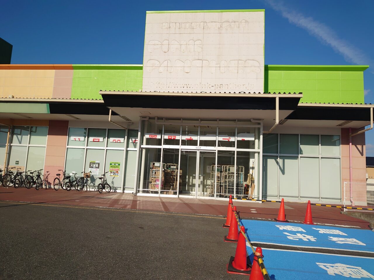 ワンダーレックス