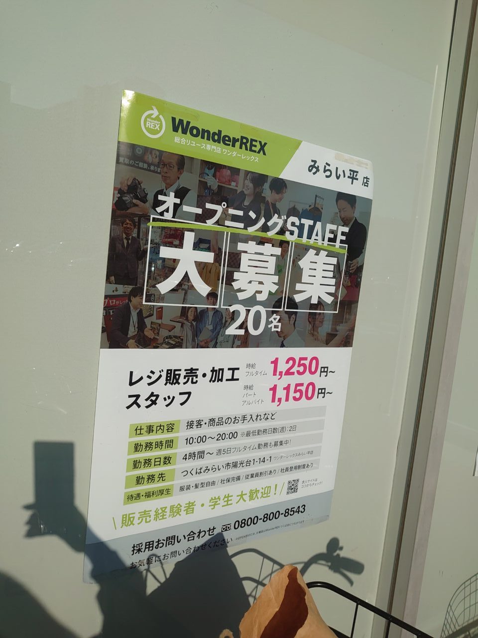 ワンダーレックス