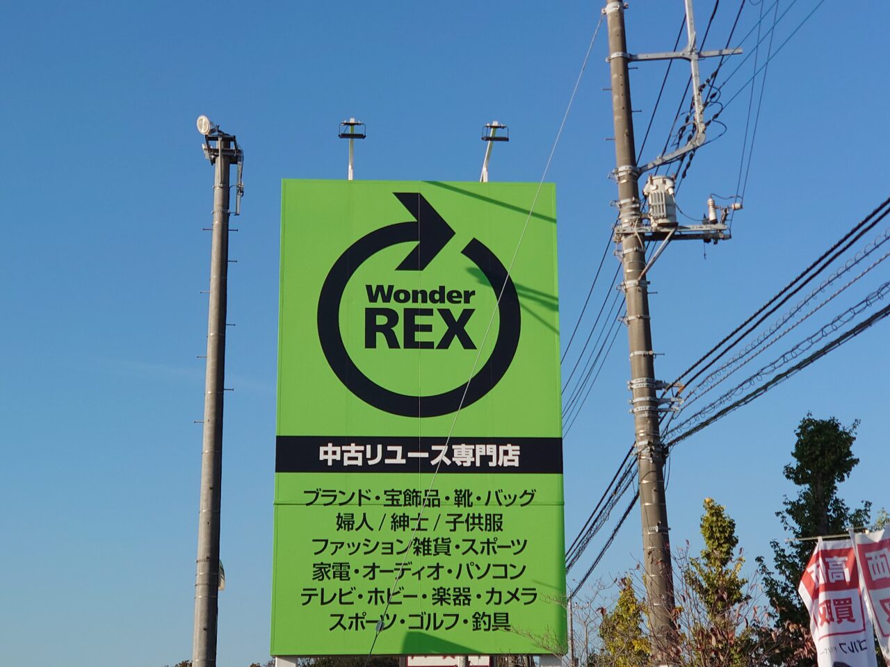 ワンダーレックス