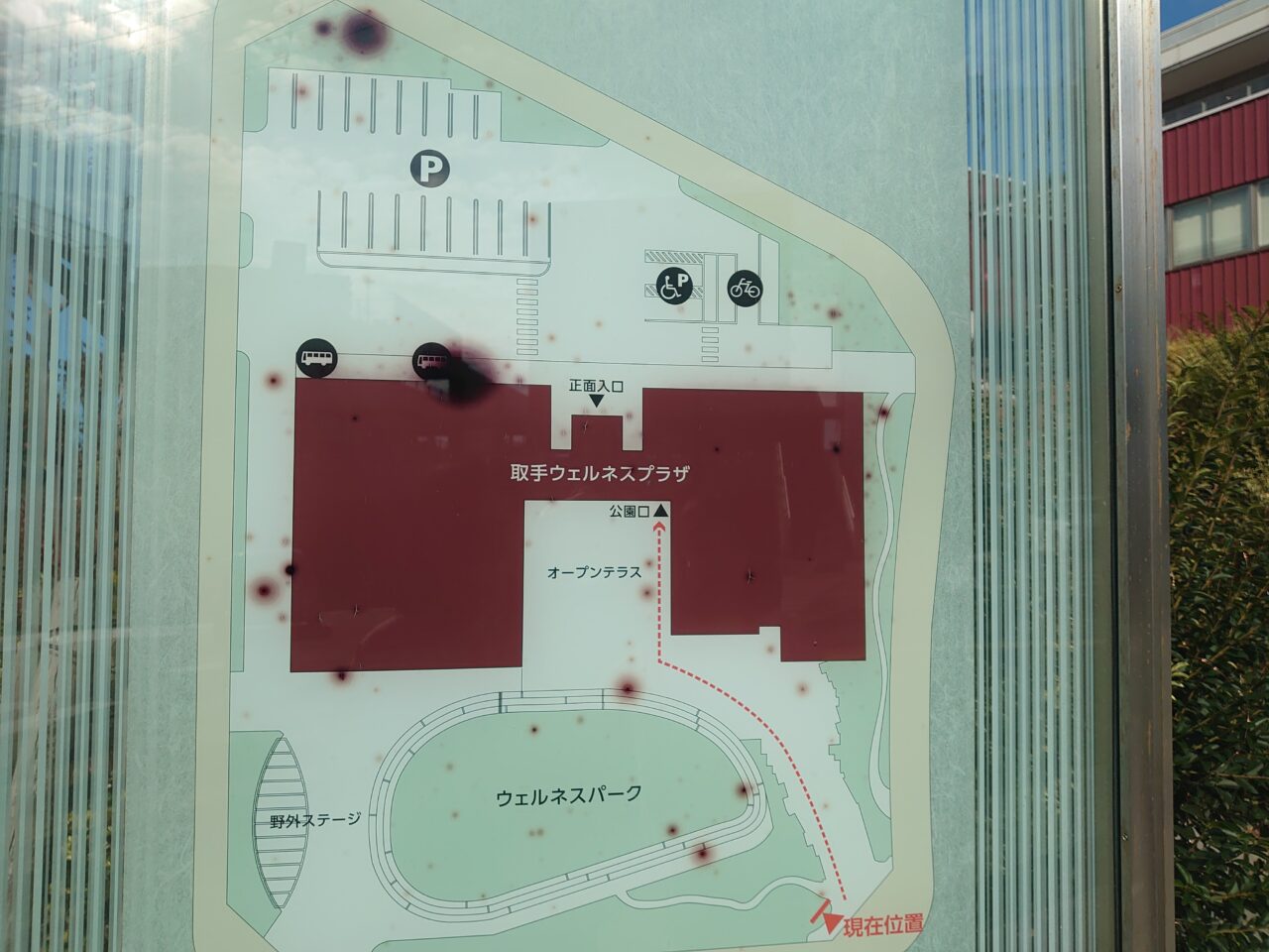 取手ウェルネスプラザ走り方