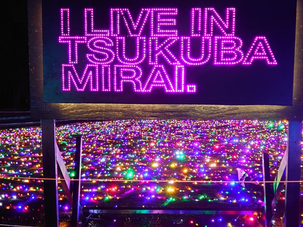 きらくやまふれあいの丘イルミネーション2025