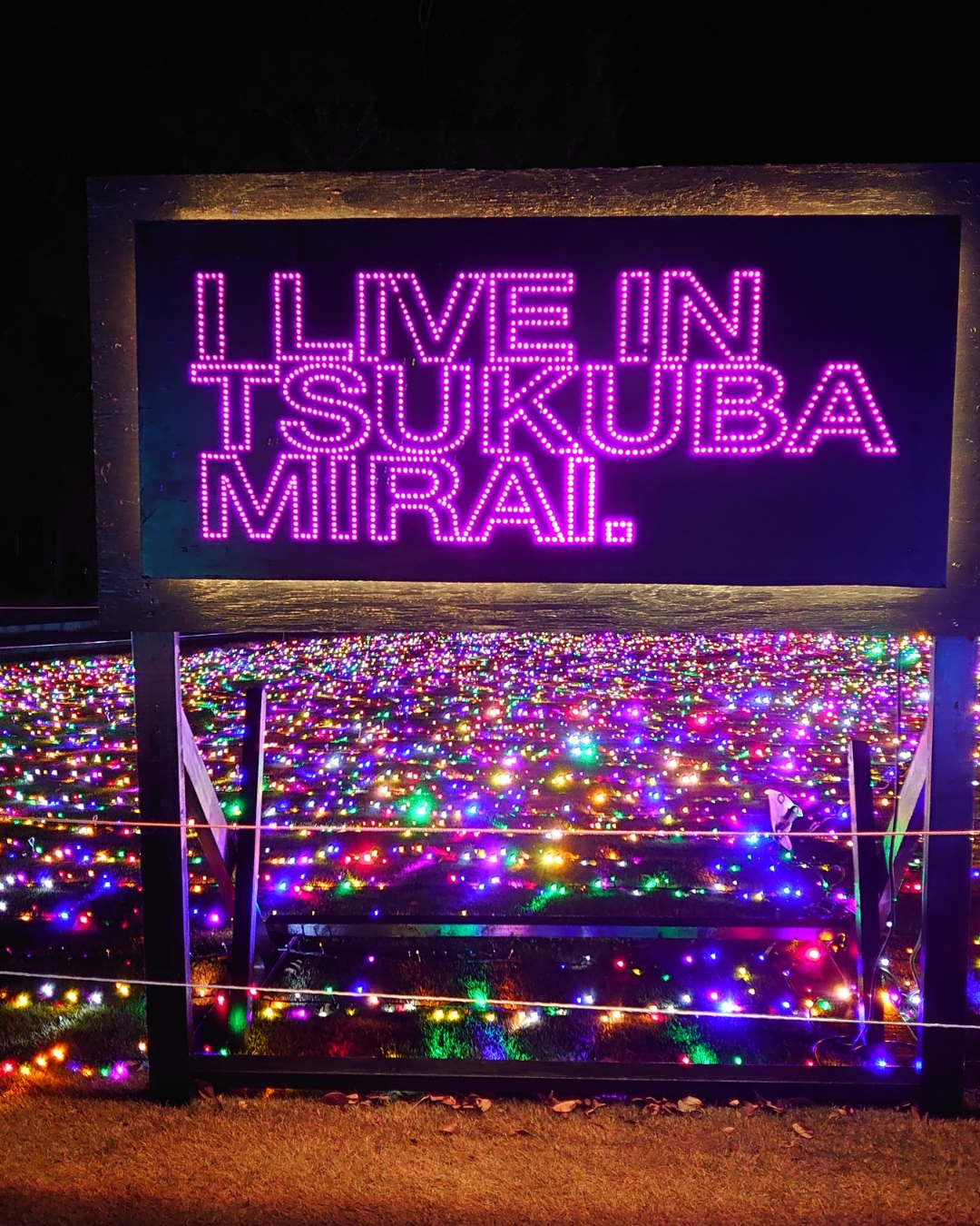 きらくやまふれあいの丘イルミネーション2025