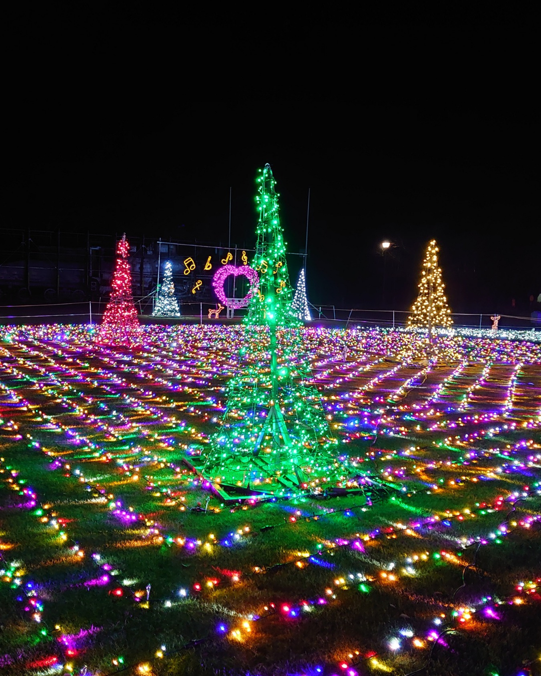 きらくやまふれあいの丘イルミネーション2025