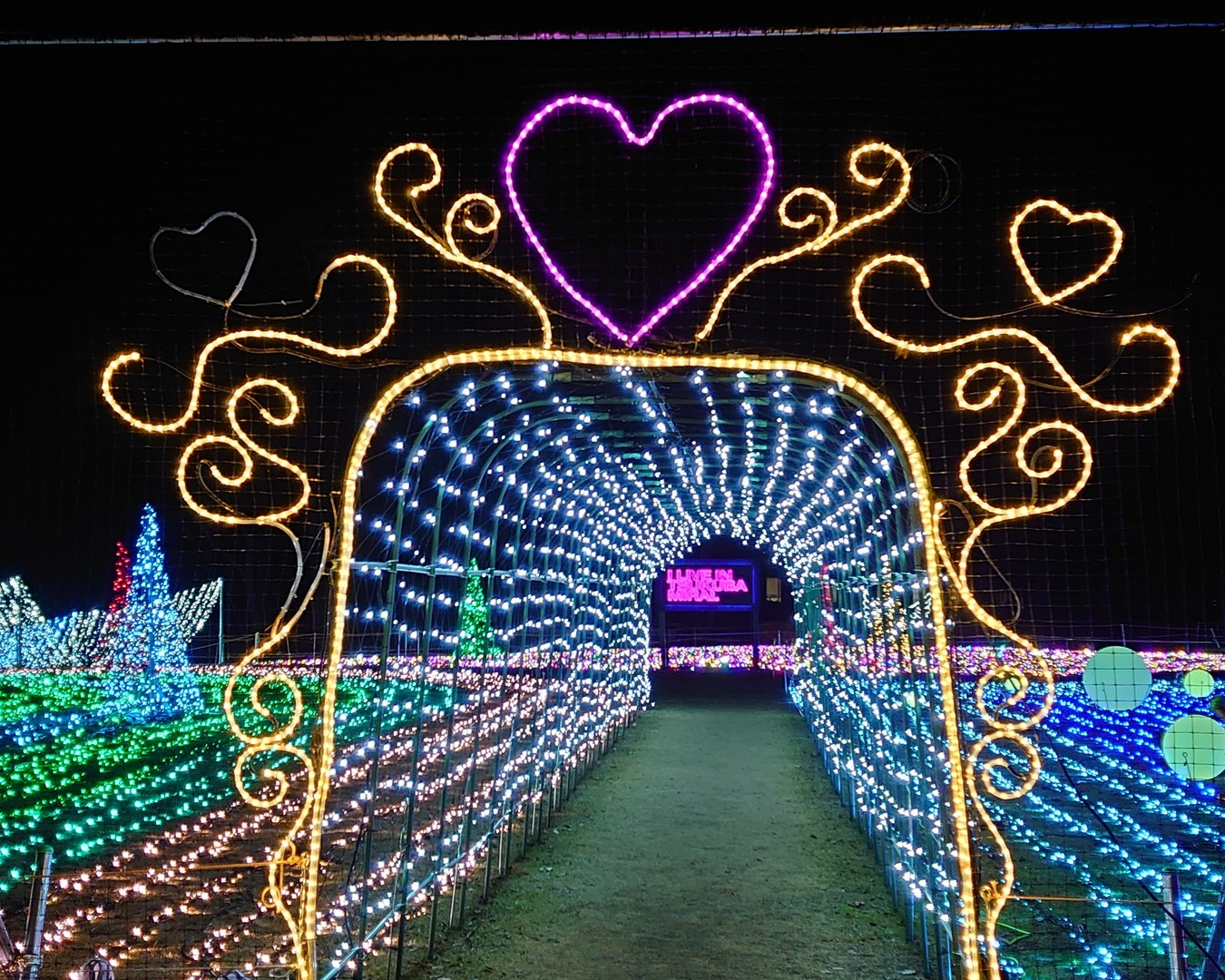 きらくやまふれあいの丘イルミネーション2025