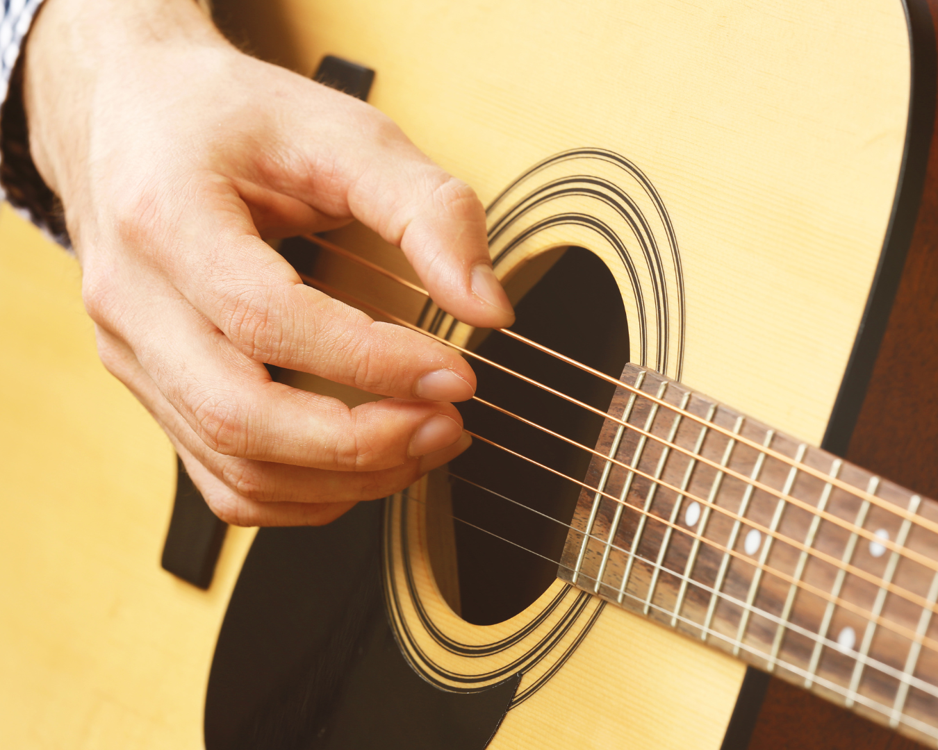 もりりんうたごえのもり