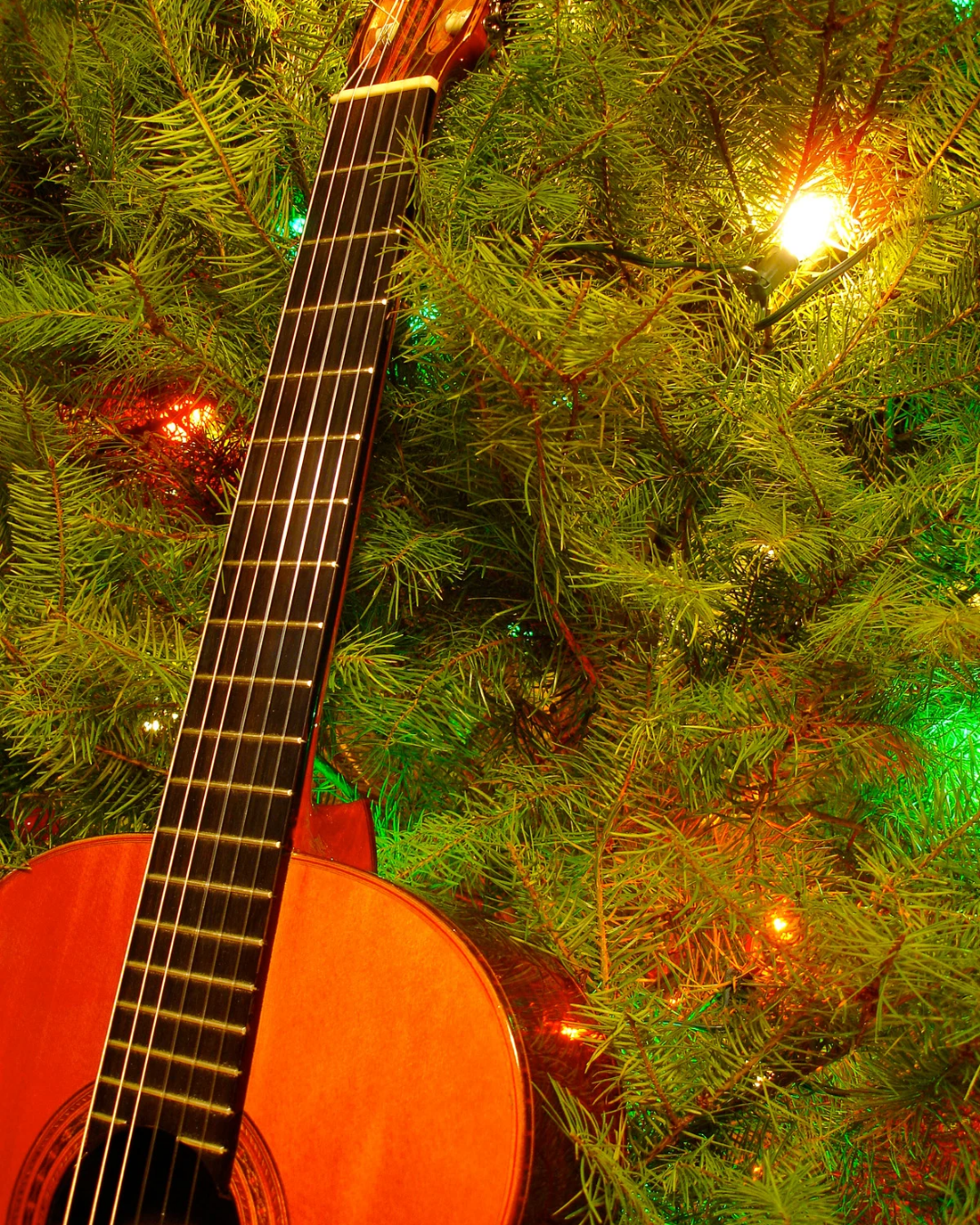 ２本のギターが奏でるクリスマス