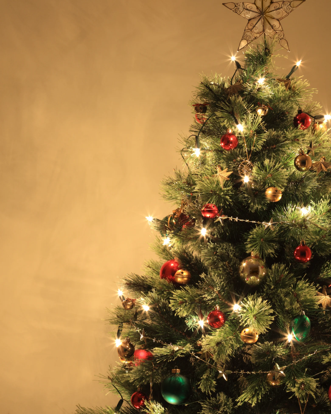 もりりんうたごえのもり