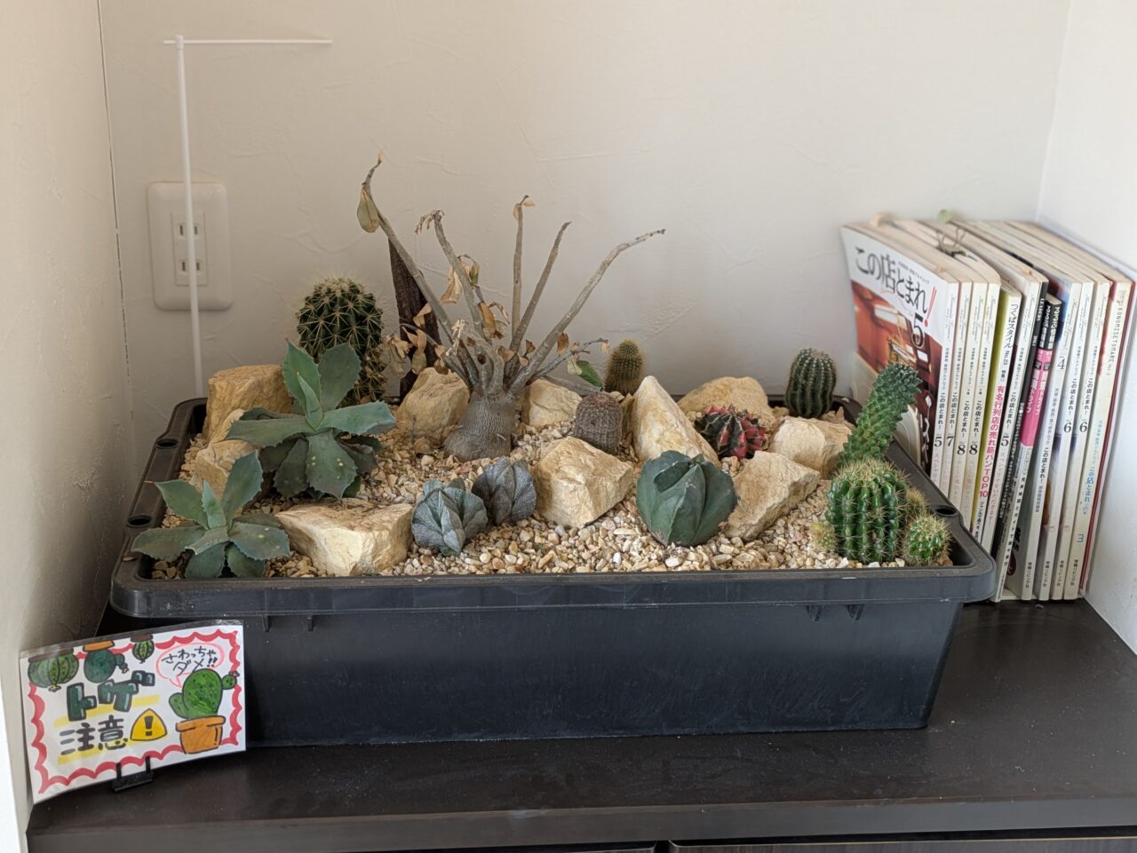 サボテンのオブジェ