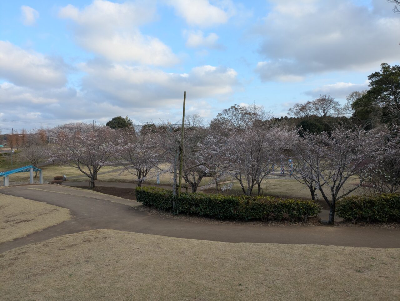 高台からの眺め