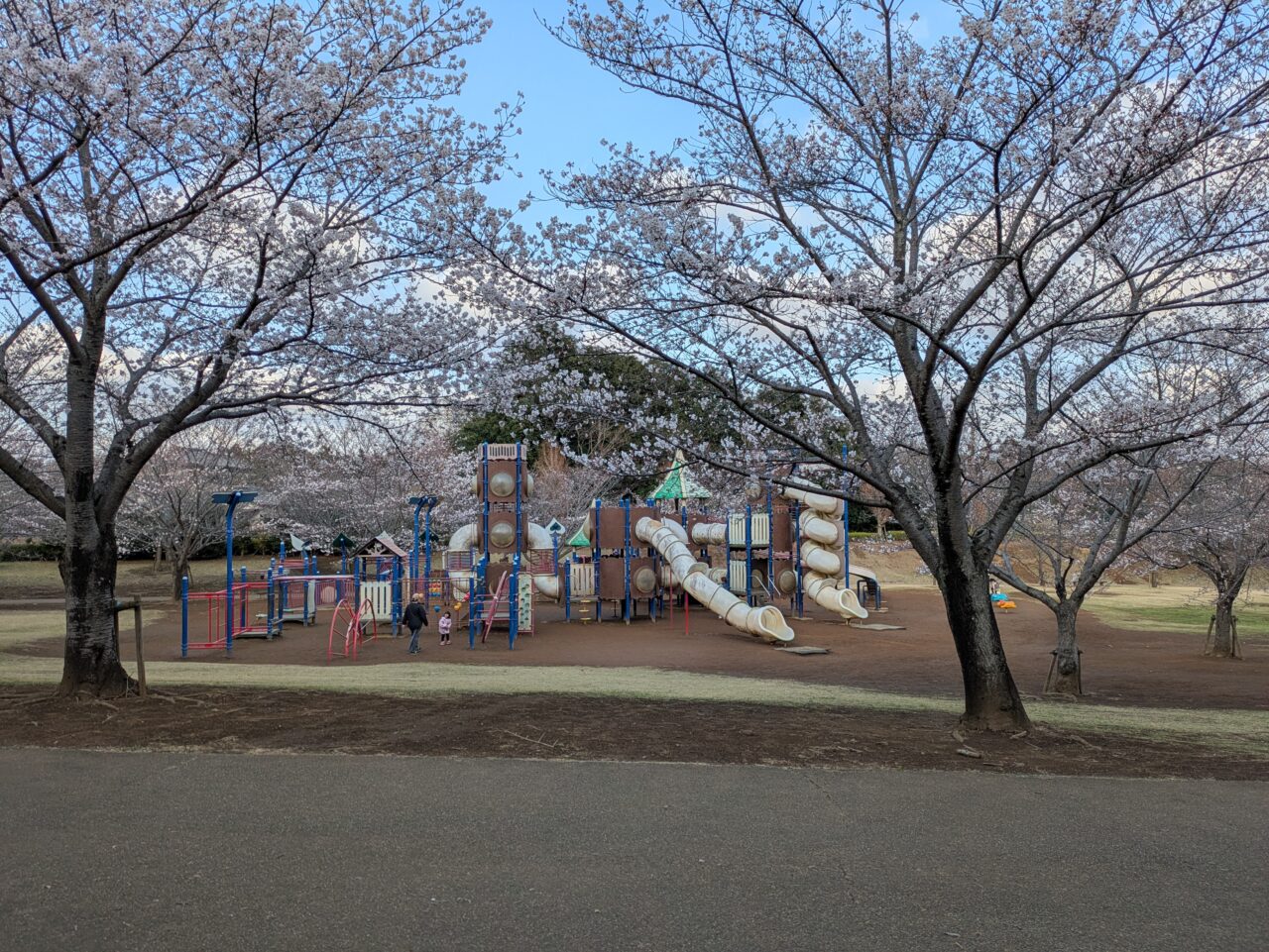 公園