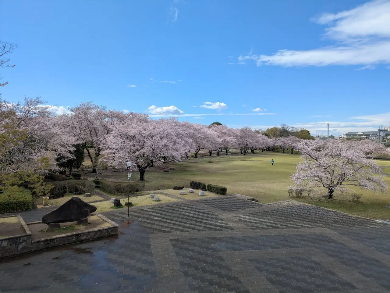 絹の台桜公園