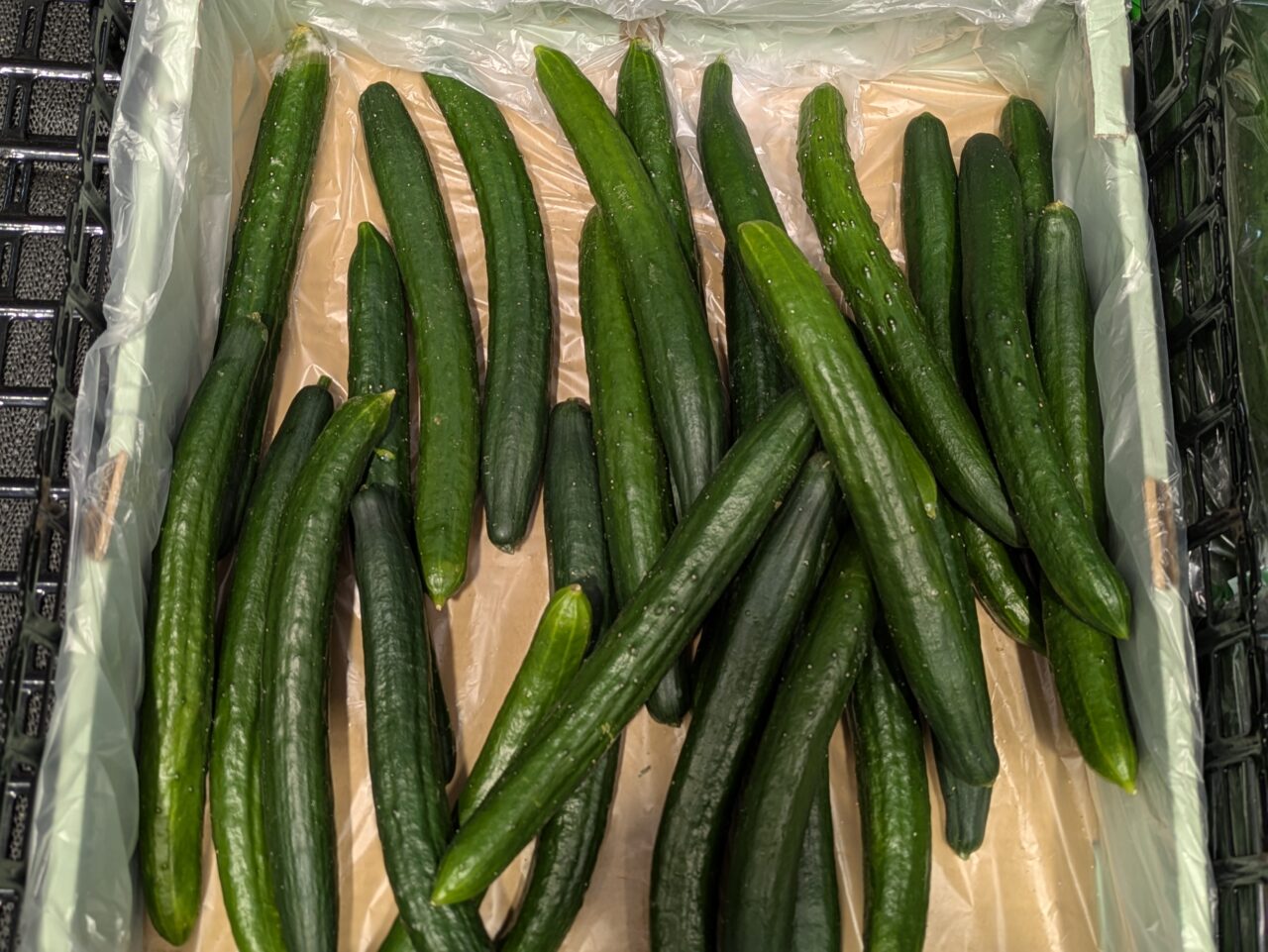 きゅうり